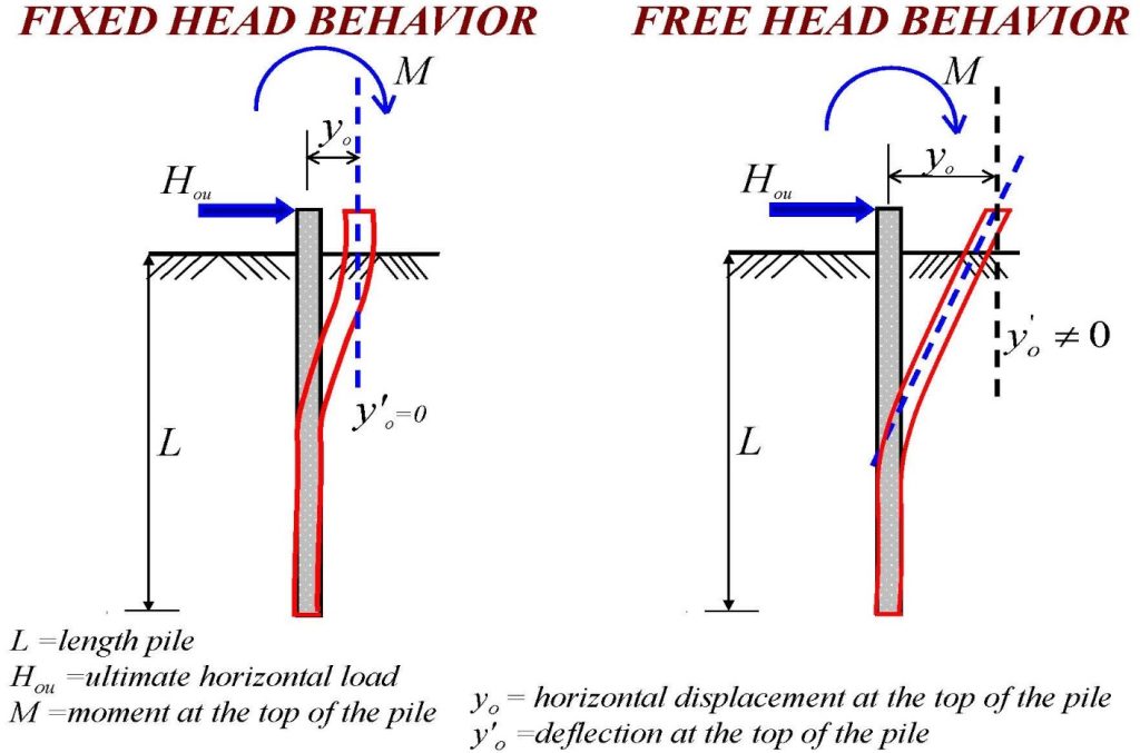 Fixed head versus free head behaviors